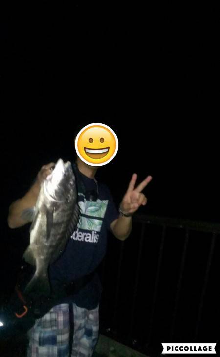 久々のチニングで釣れました。